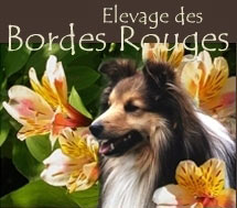 Elevage des Bordes Rouges